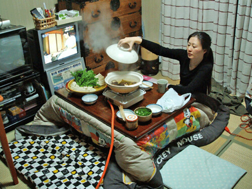 yucca s'occupe du yudofu sous le kotatsu by bimboAuJapon