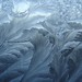 Window Frost by Ian Hampton