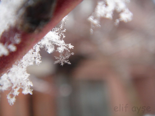 just a moment!  Snow Crystal