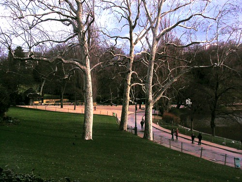 Parc Trees