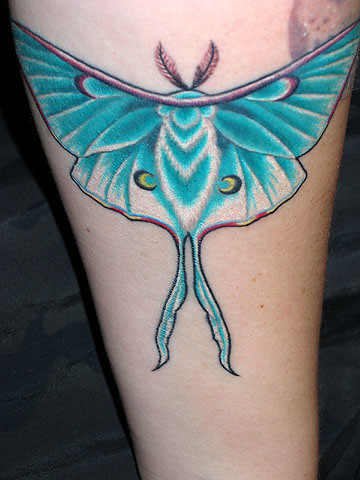 moth tattoo moth&moon tattoo (left 