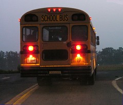Behind the School Bus