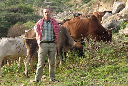 A biological break spent posing with the cows