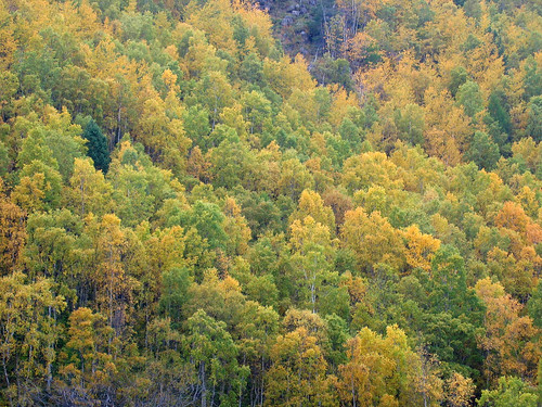 Siberia in autumn.