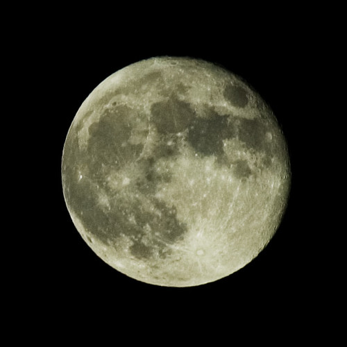 보름달 (Full Moon)