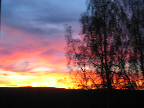 Sunset from my window (Copyright Hanna Andersson)