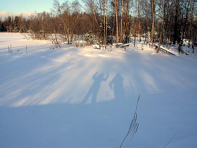 Shadows on snow