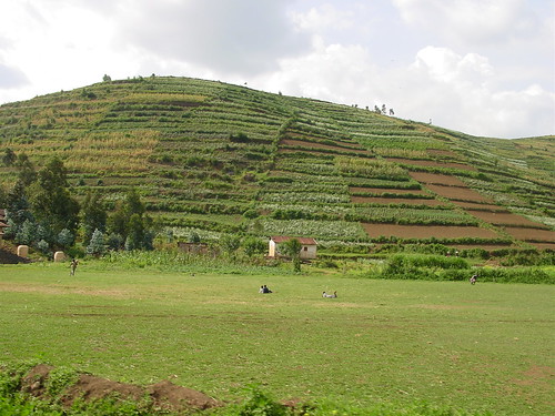 Agriculture por amalthya.