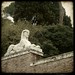 Sphinx at Piazza del Popolo