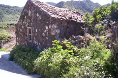The Old Ruins of El Palmar