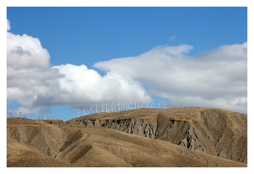 Hillside of Windmills