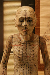 Acupuncture doll