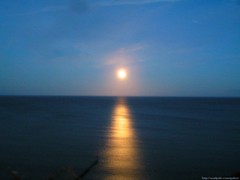 Moon shining over the sea