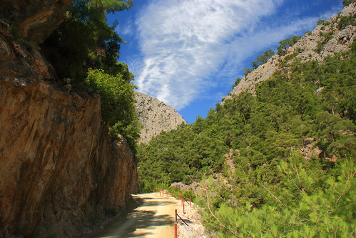 road in canyon ©  dmytrok