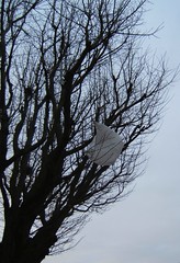 Plastic bag tree