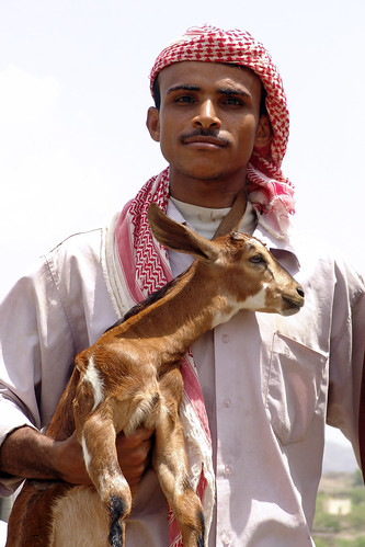 Yemen - Who's got the goat?