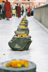 Lotus (Buddha's footprints)