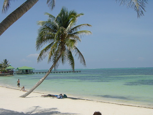 Belize Beach and Palm