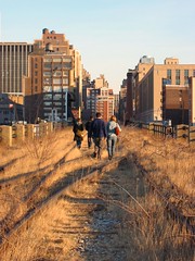 High Line NYC by Lee Otis, on Flickr