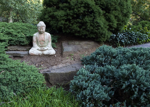 Meditation Garden by John Suler