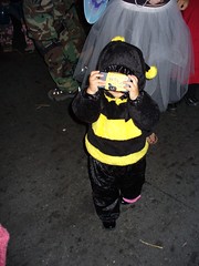 Bumble bee, photo by forty42two