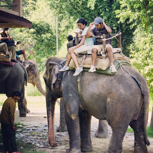   ... 2009   ...    ... #Travel #Memories #2009 #Chitwan #National #Park    #Nepal    ... #Animal #Elephant #Jungle #Safari ©  Jude Lee