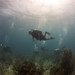 MDSU-2 conducts a training dive with  Belizean Coast Guard divers.