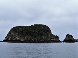 Bay of Island. One of hundreds of small islands in the Bay of Islands New Zealand.