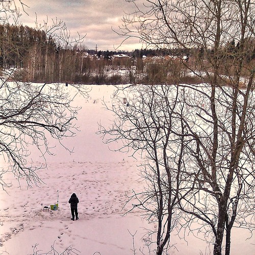 Alone on the Ice ©  sergej xarkonnen