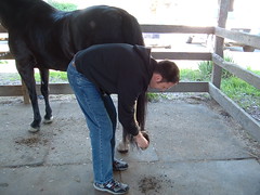 me claning hooves