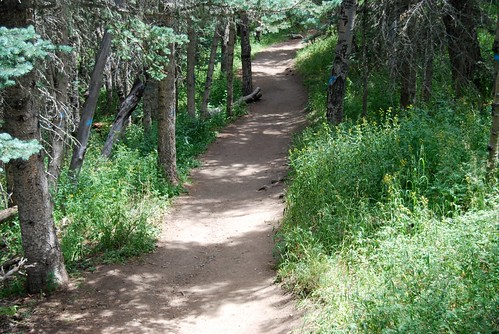 path in NM