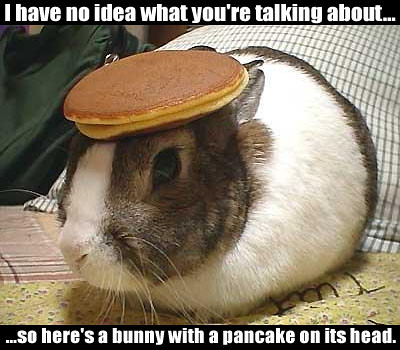Image result for bunny with pancake