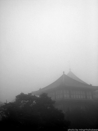 PCCU in the fog