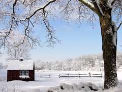 farmstand in winter