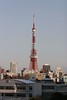 東京タワーの真正面