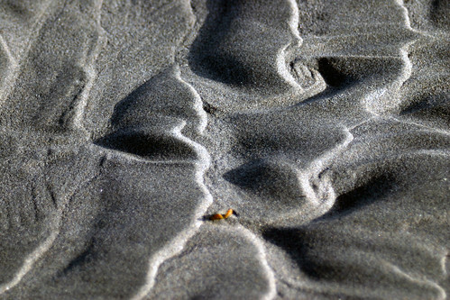 Sand Dunes in Miniature