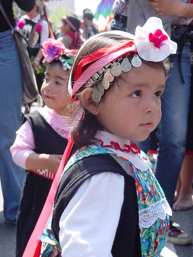 Mapuche Girl / Niña Mapuche
