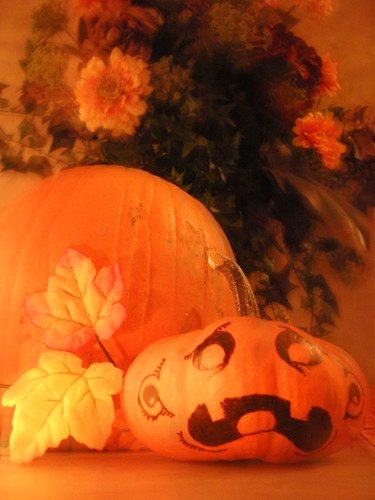 spooOOooky halloween pumpkins