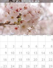 April 2006 (Cherry Blossom)