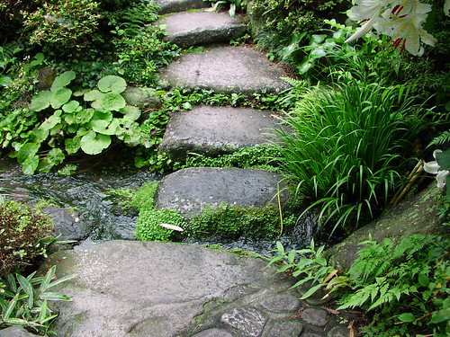 tea garden - stone pathway