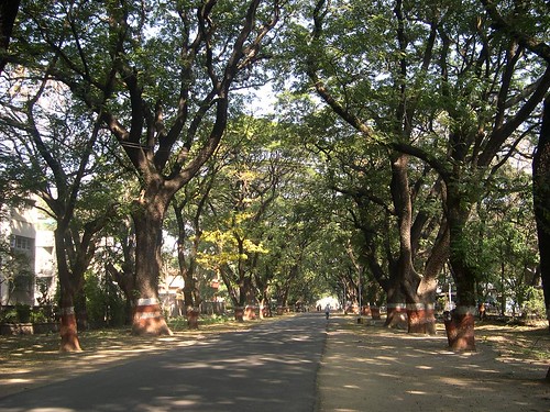 Way to the Agriculture Collage, Pune