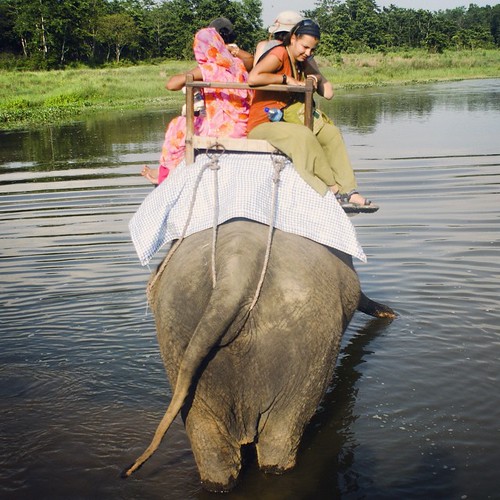   ... 2009   ...    ... #Travel #Memories #2009 #Chitwan #National #Park    #Nepal      ... #Animal #Elephant #River #Jungle #Safari ©  Jude Lee