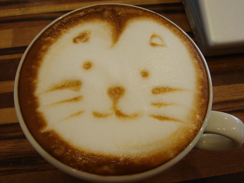 cat face on cappuccino