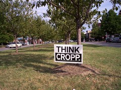 Think Cropp