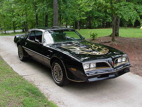 This sleek black curvaceous classic body style of the 77 Trans Am had a