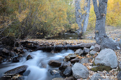 Lundy Canyon Creek