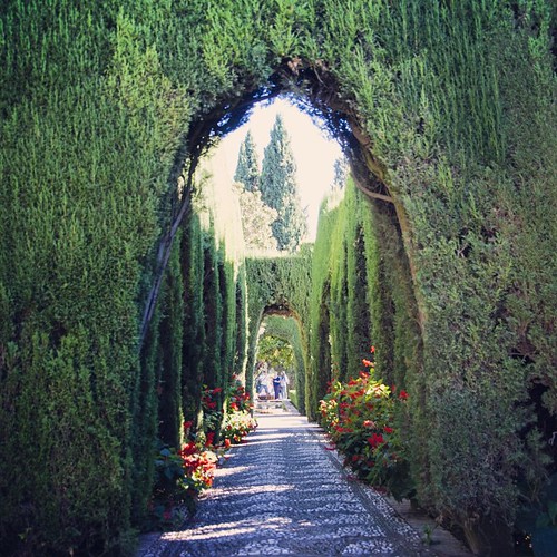 2012     #Travel #Memories #Throwback #2012 #Autumn #Granada #Spain    ...    ... #Alhambra #Palace #Garden #Road #Tree #Gate #Arch #Flower ©  Jude Lee