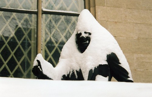 Statue, after the blizzard