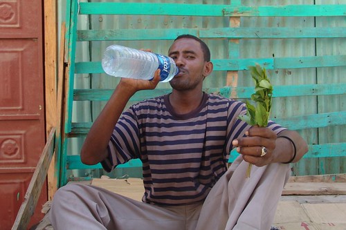 Djibouti - water and qat, what pleasure!