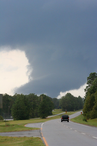 tornadoes in tuscaloosa al. Here is the Tuscaloosa, AL fly